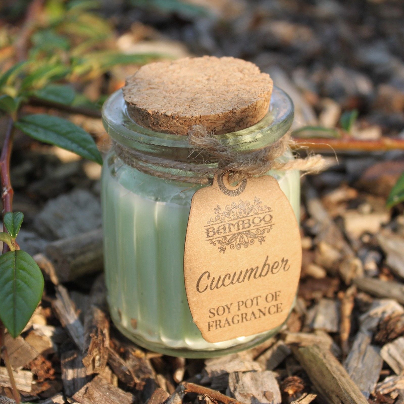 Bougies parfumées au concombre
