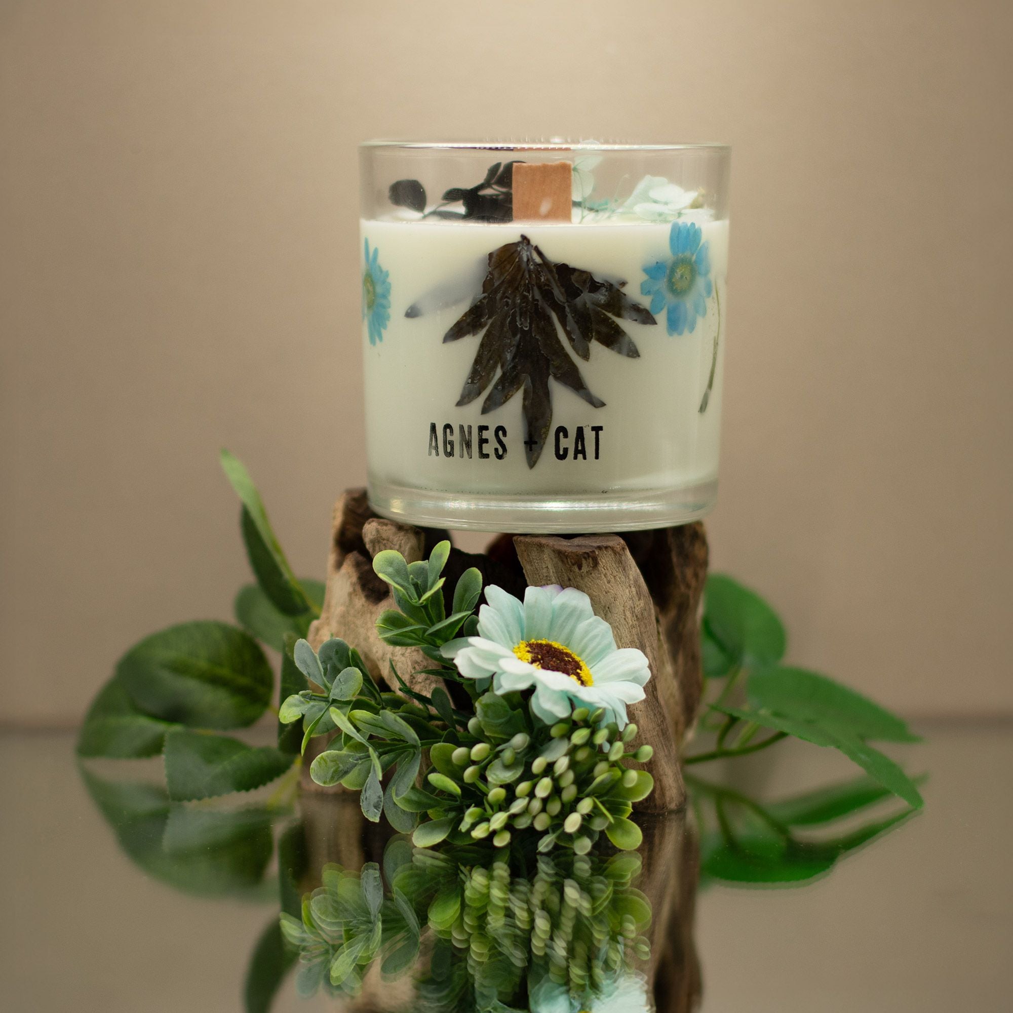 Bougie botanique Agnes + Cat – Sel marin et mousse