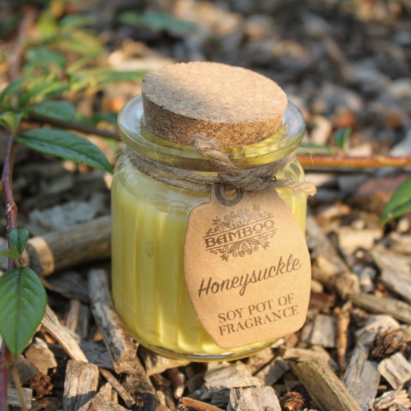 Bougie parfumée au chèvrefeuille
